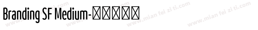 Branding SF Medium字体转换
